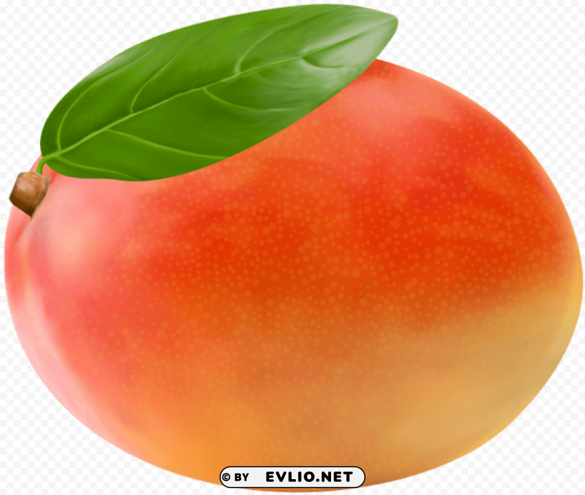 mango fruit Transparent PNG images extensive variety