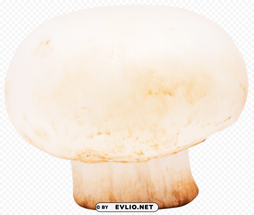 mushroom PNG images with alpha transparency bulk