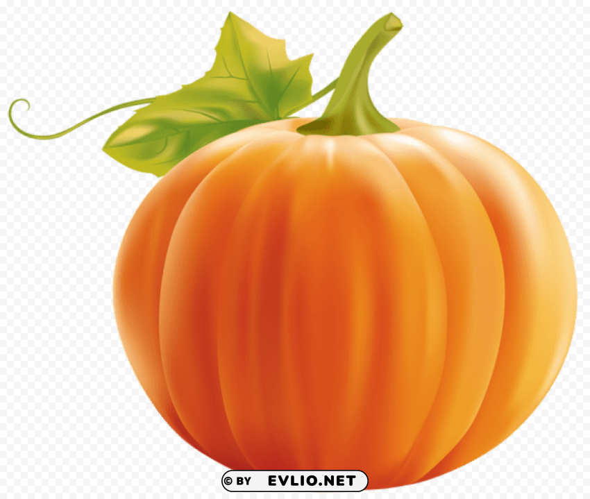pumpkin HighQuality PNG Isolated on Transparent Background