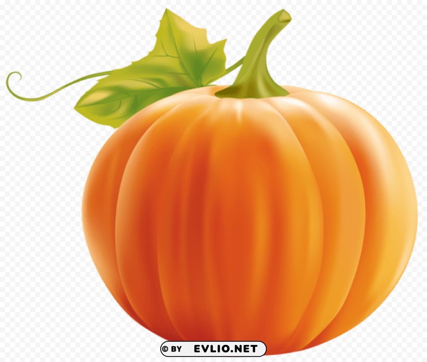 Pumpkin HighQuality PNG Isolated On Transparent Background