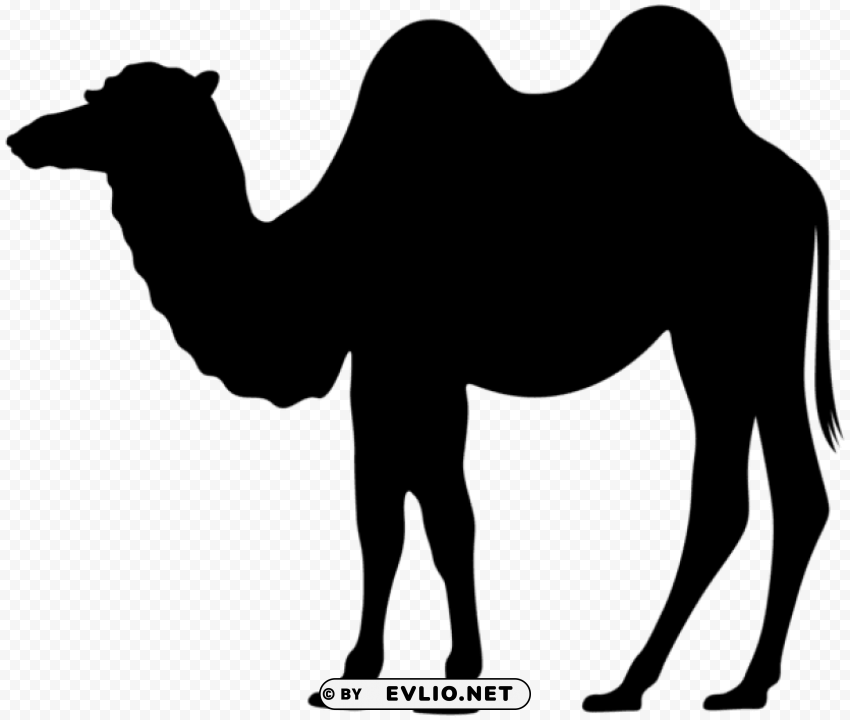 camel silhouette PNG images with clear alpha layer