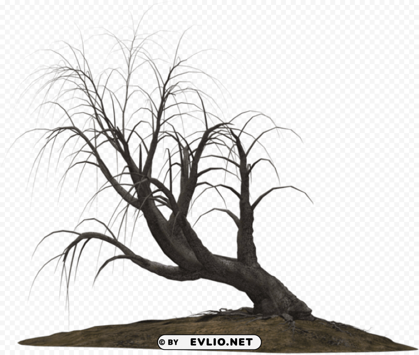 creepy trees PNG Graphic with Isolated Clarity PNG transparent with Clear Background ID f86fba4b