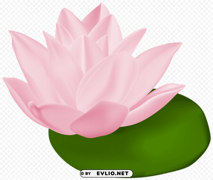 PNG image of pink water lily transparent PNG images with alpha transparency free with a clear background - Image ID 82977aa9