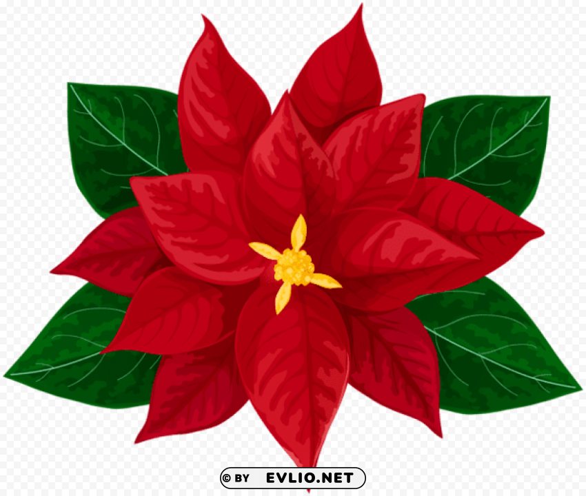poinsettia transparent PNG images with no watermark