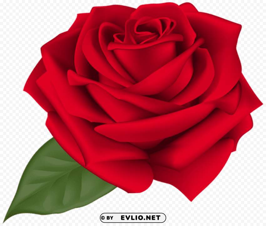 PNG image of rose red Isolated Icon on Transparent Background PNG with a clear background - Image ID e6fb82ce