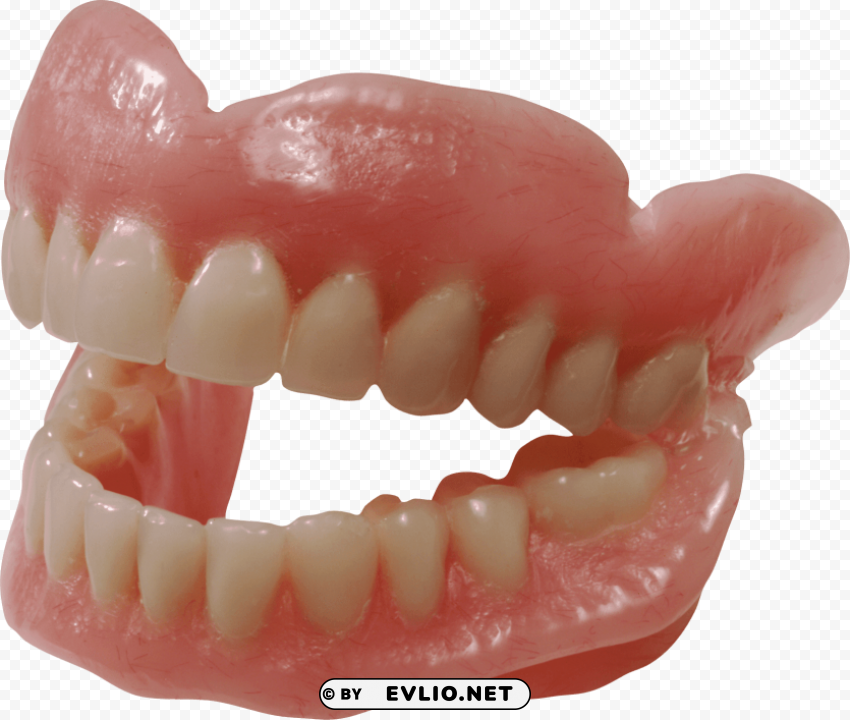 Transparent background PNG image of teeth PNG file without watermark - Image ID cb7e5860