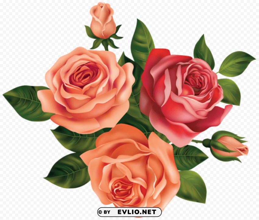 beautiful roses Free PNG download