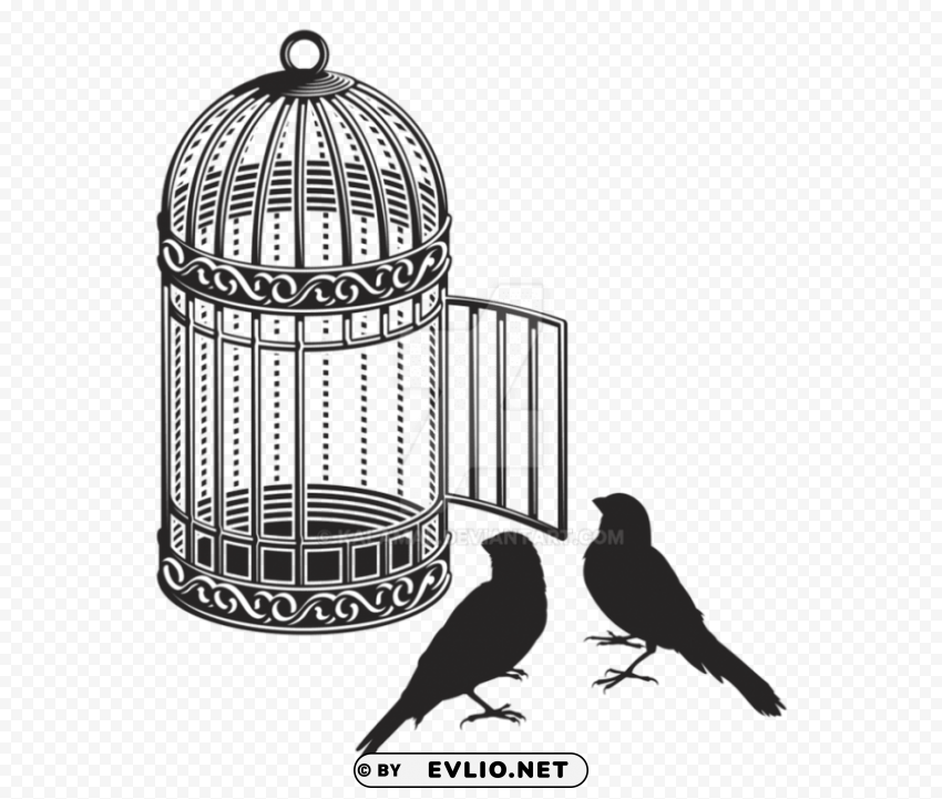 cage bird PNG Image Isolated with Transparent Detail