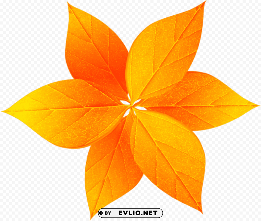 fall leaves decoration PNG free download transparent background