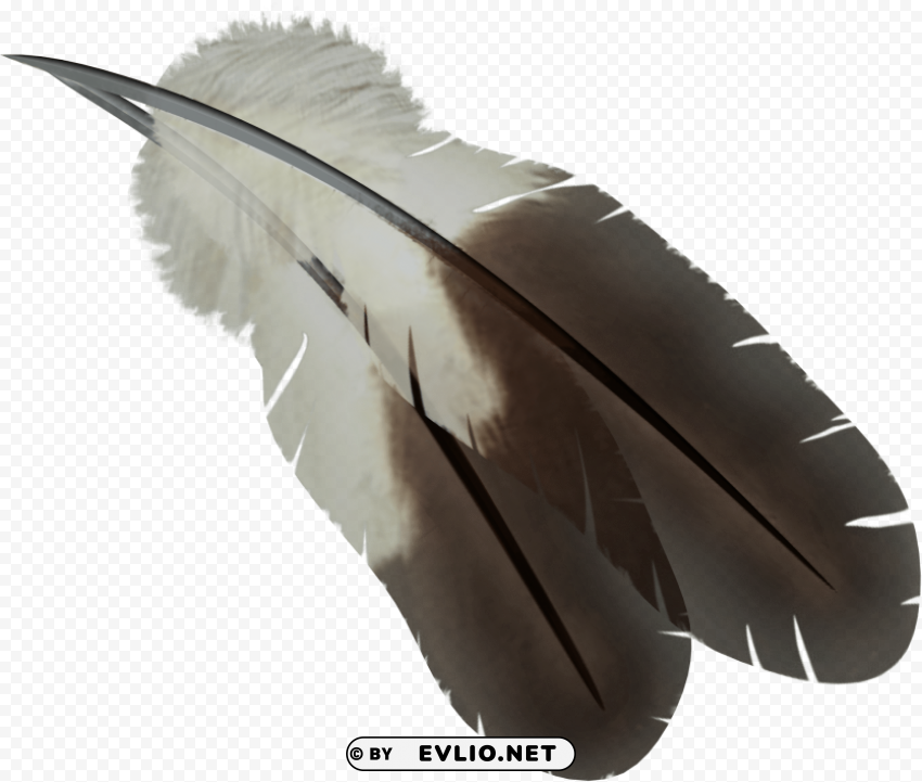 feather Transparent background PNG artworks