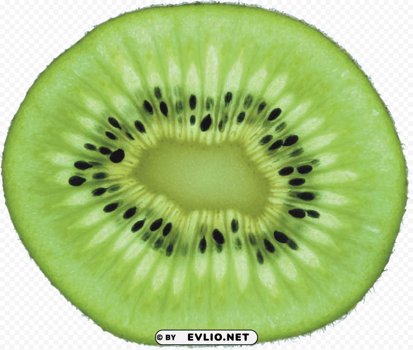 kiwi PNG photo