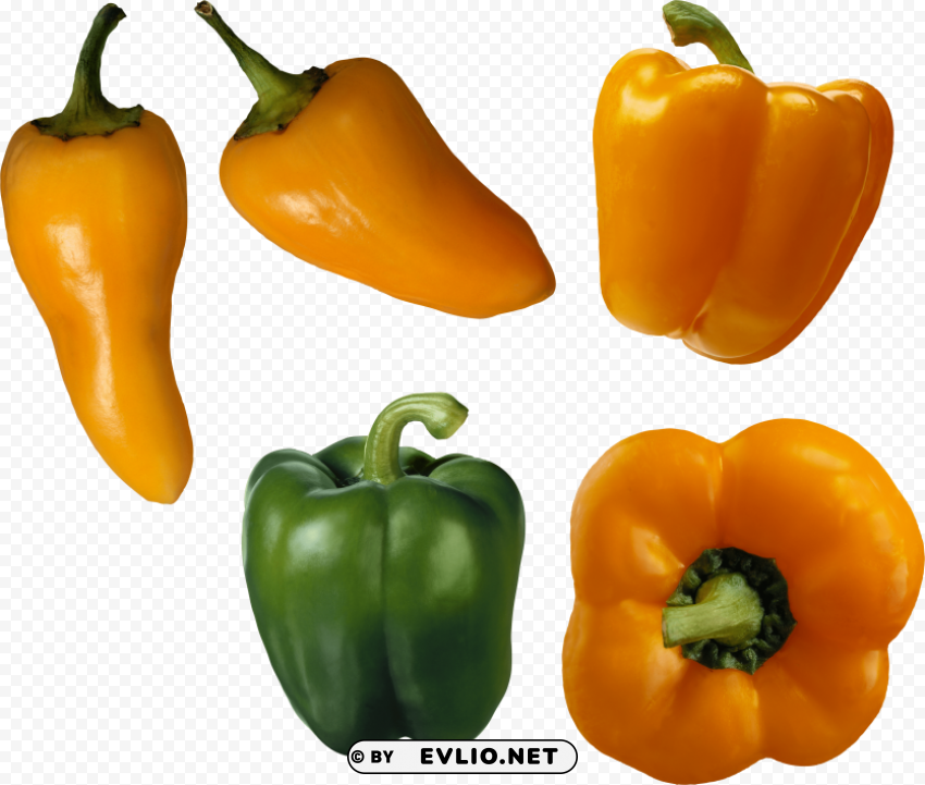 pepper PNG Graphic with Isolated Design