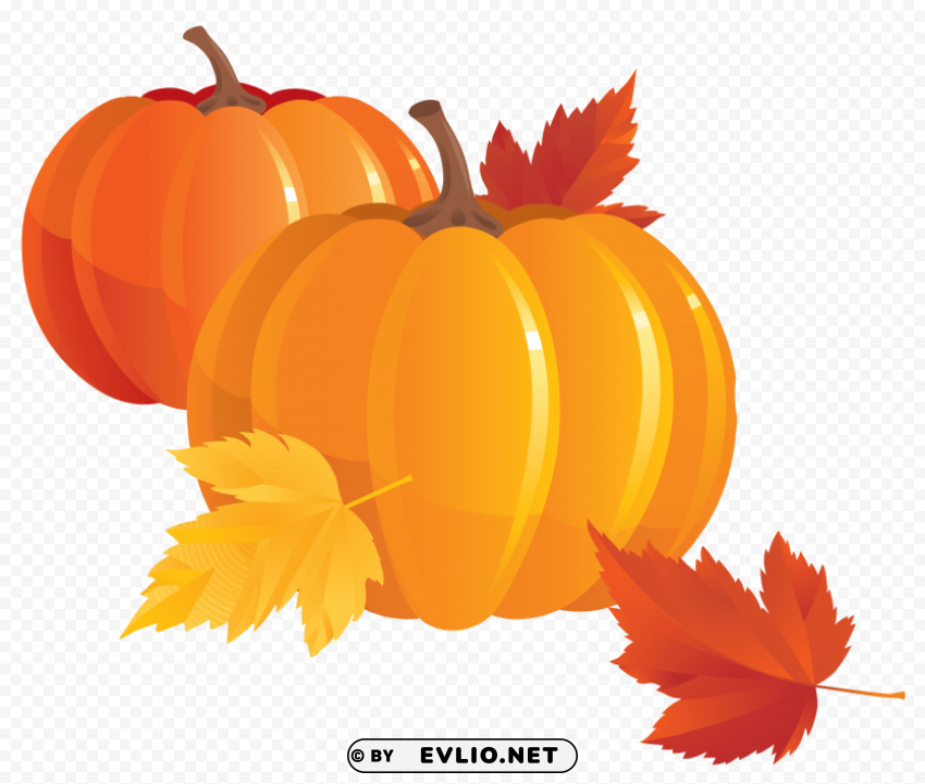 pumpkin Isolated Item with HighResolution Transparent PNG