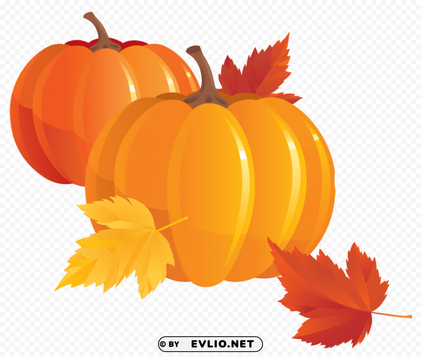 Pumpkin Isolated Item With HighResolution Transparent PNG