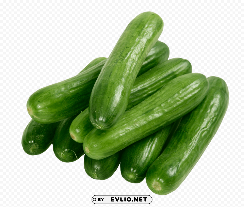 cucumber Transparent PNG images free download
