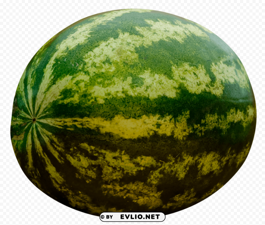 Watermelon Isolated Item on HighQuality PNG