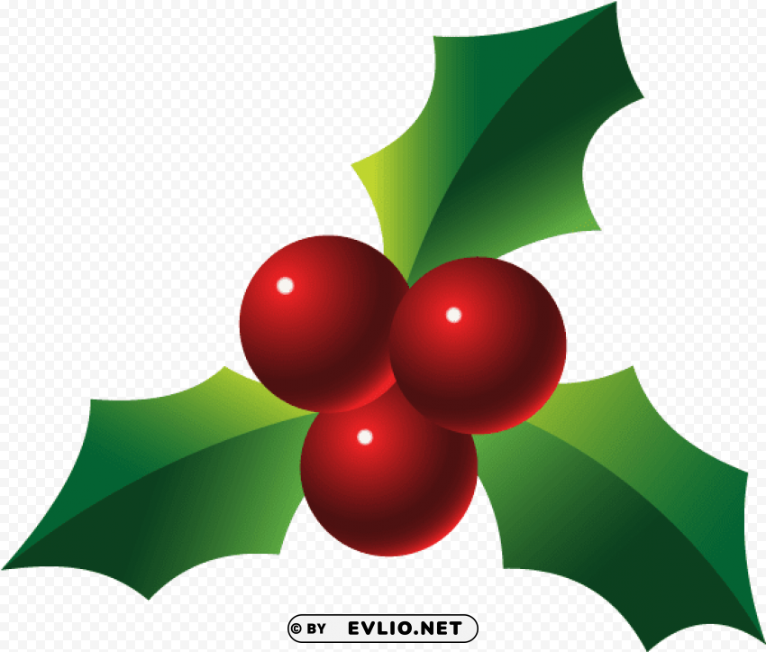 holly free christmas holly download free clip - holly berries PNG images with high transparency