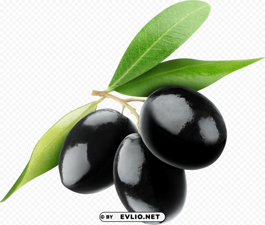 olives PNG images for personal projects