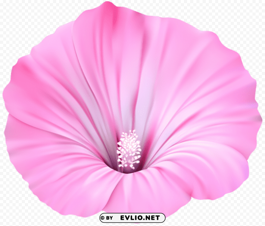 pink flower PNG transparent elements compilation