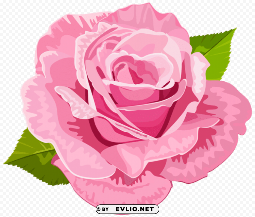 rose pink deco Isolated Subject with Clear PNG Background