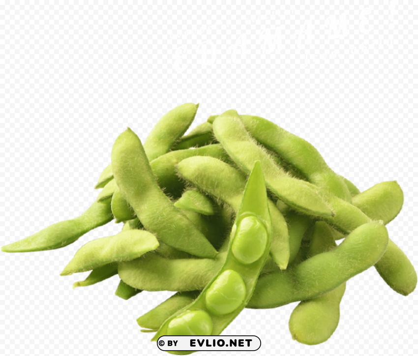 edamame PNG graphics with clear alpha channel