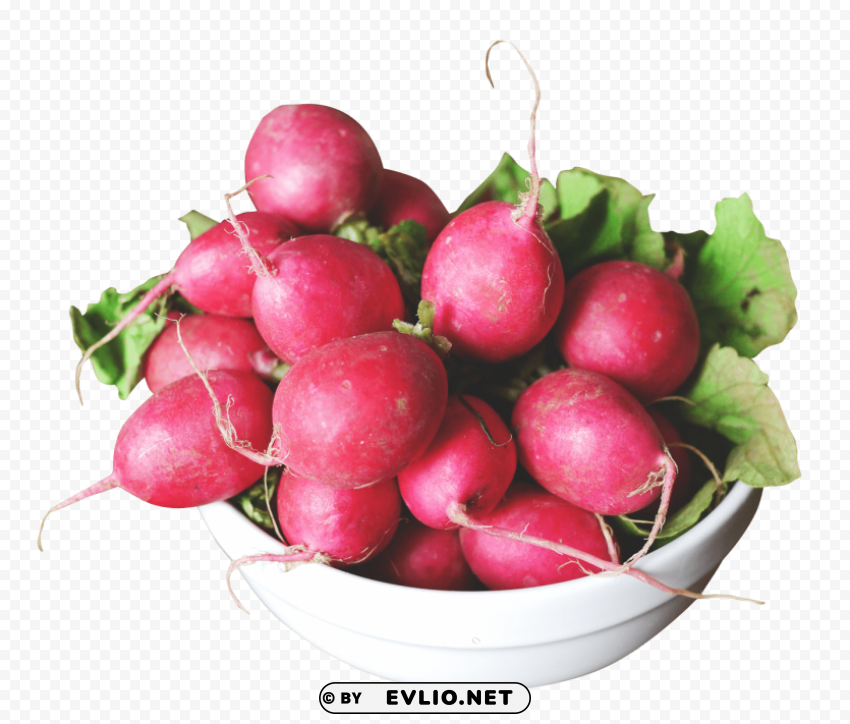 radish in a bowl Transparent PNG photos for projects
