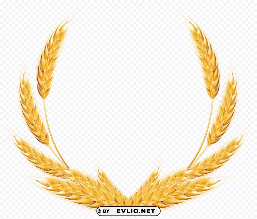 Wheat PNG free download transparent background