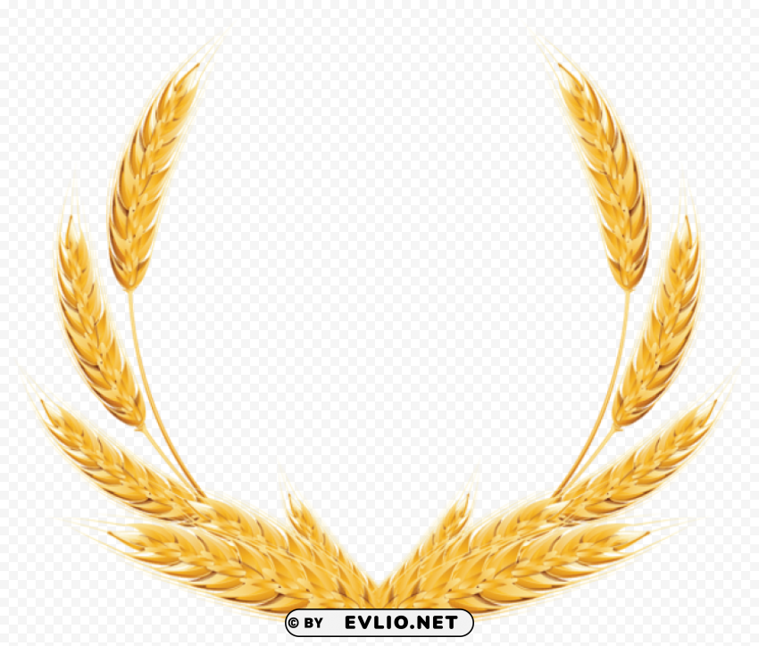 Wheat PNG free transparent