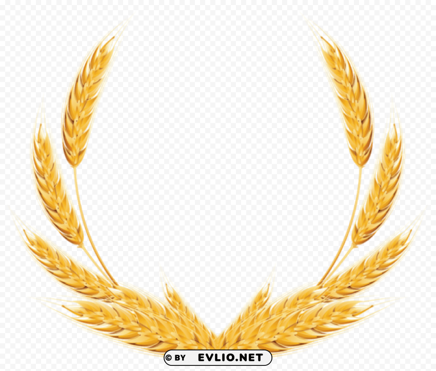 Wheat PNG Free Transparent