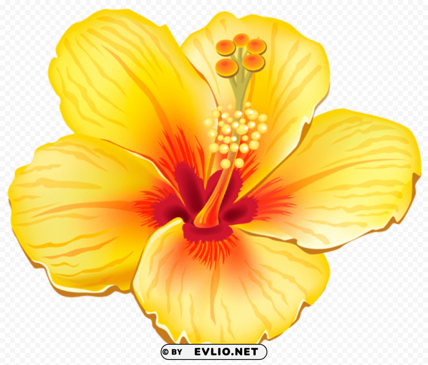 yellow exotic flowerpicture Free PNG file
