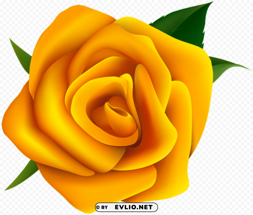 yellow rose PNG images for editing