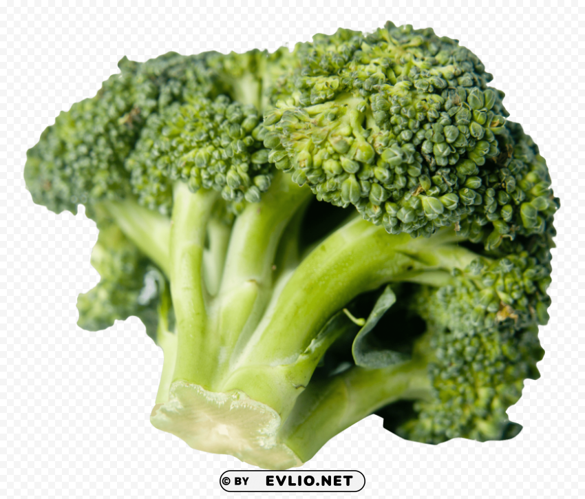 broccoli No-background PNGs