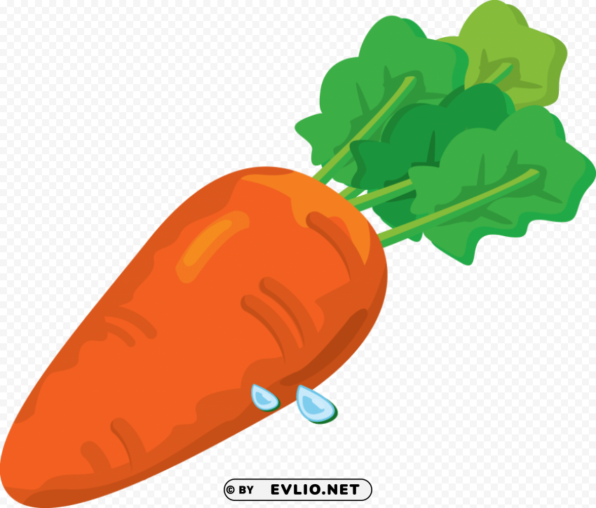 Carrot PNG For Personal Use