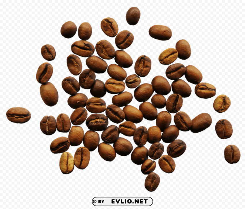 coffee beans Isolated Design in Transparent Background PNG
