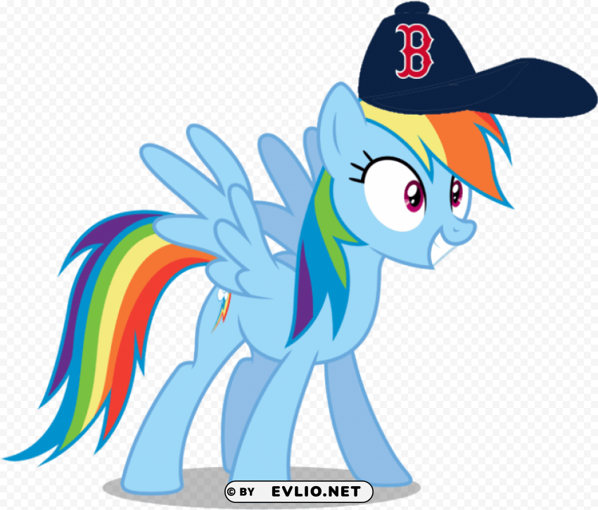 rainbow dash wearing hat PNG with no cost