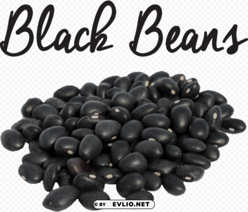 Transparent black beans Isolated Icon on Transparent Background PNG PNG background - Image ID b70a90e1