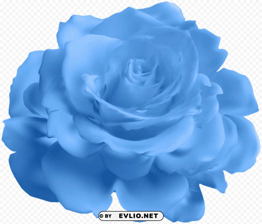 blue rose transparent PNG images for merchandise