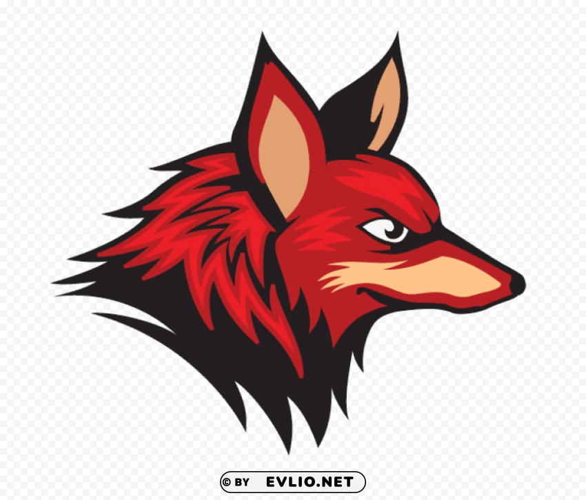 fox pics PNG for social media