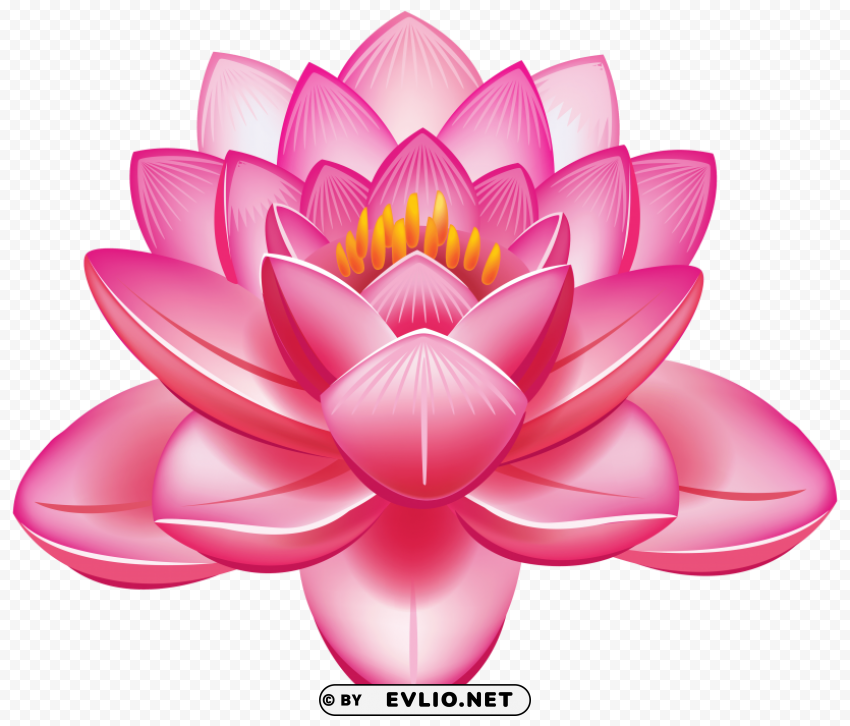 lotus flower PNG Image Isolated with High Clarity