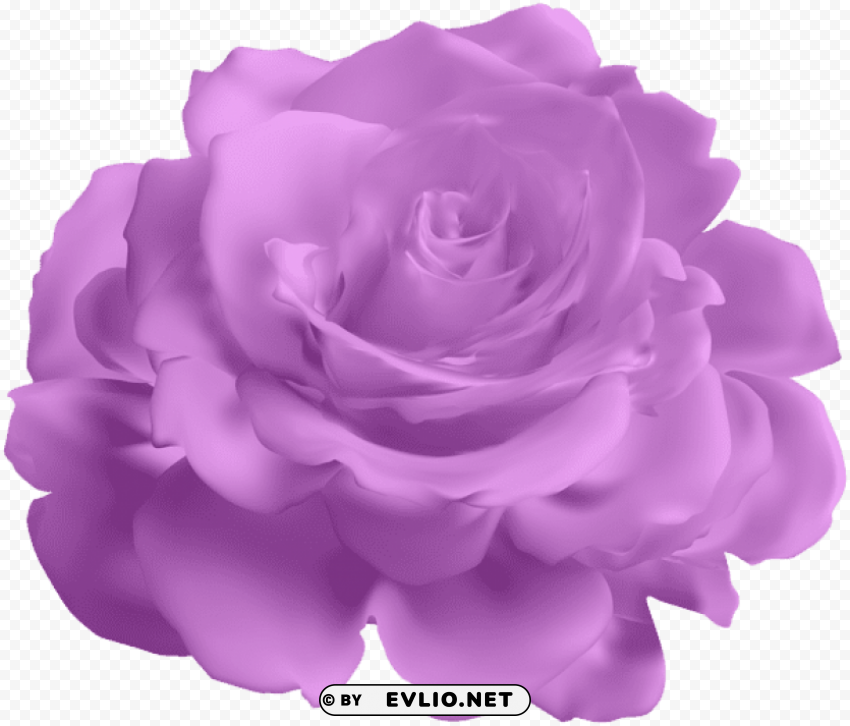 PNG image of purple rose transparent PNG images for banners with a clear background - Image ID 9e154cc4