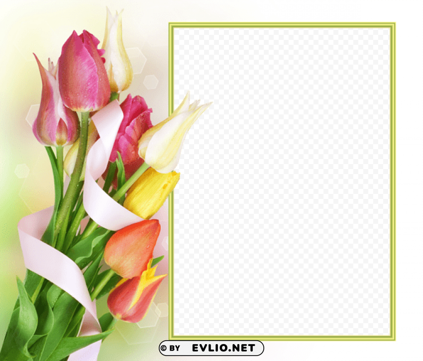 Tulipsphoto Frame Free PNG Images With Transparent Layers Diverse Compilation