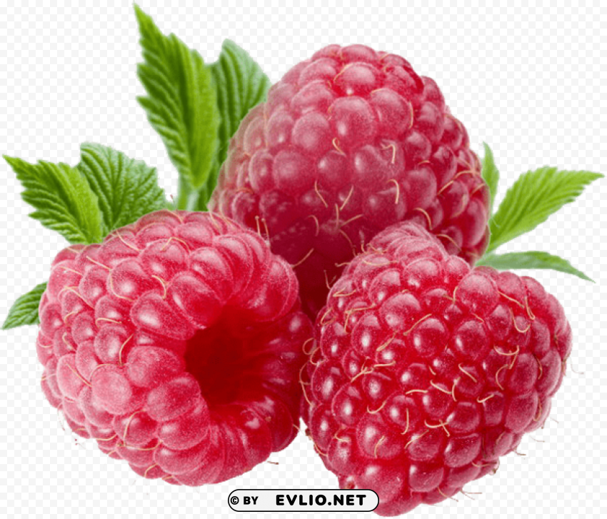 berries file Isolated Character on Transparent Background PNG
