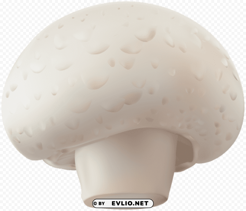 champignon mushroom PNG transparent photos extensive collection