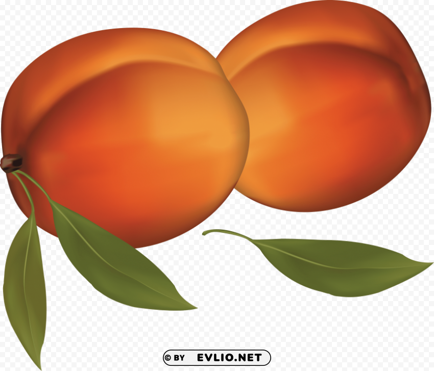 peach HighResolution PNG Isolated on Transparent Background