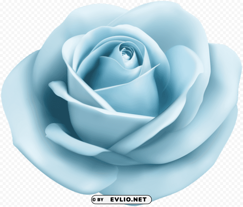 rose soft blue transparent Clear Background Isolated PNG Illustration