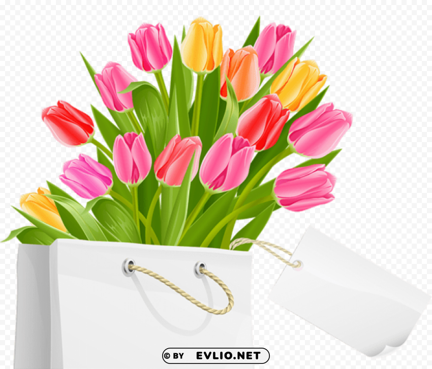 spring bag with tulipspicture Transparent background PNG stock