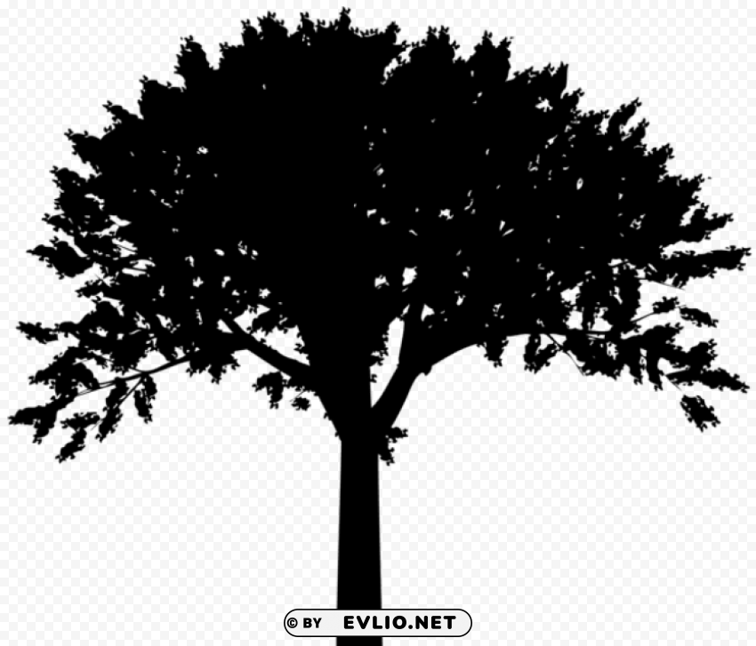 tree silhouette Isolated PNG Element with Clear Transparency