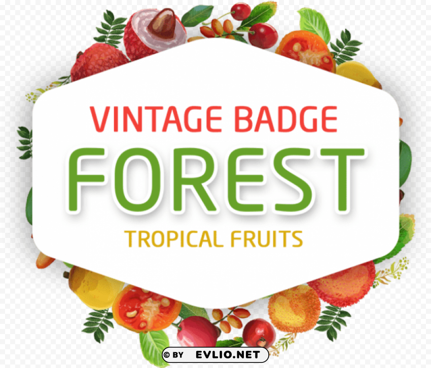 tropical fruit Clear PNG graphics