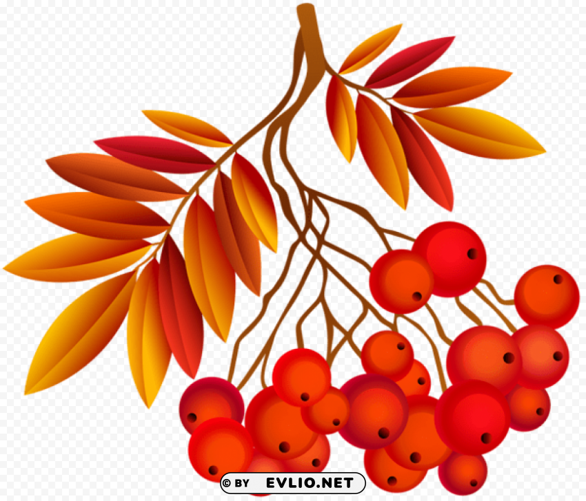 autumn leaf deco plant Clear Background Isolated PNG Object