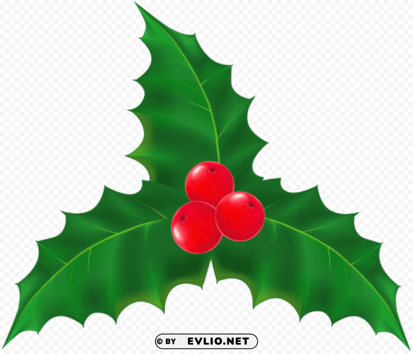 christmas mistletoe Transparent PNG images bundle